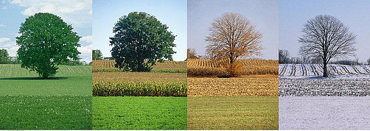 《心灵杀手：复刻版》PS5版容量和预载时间公布